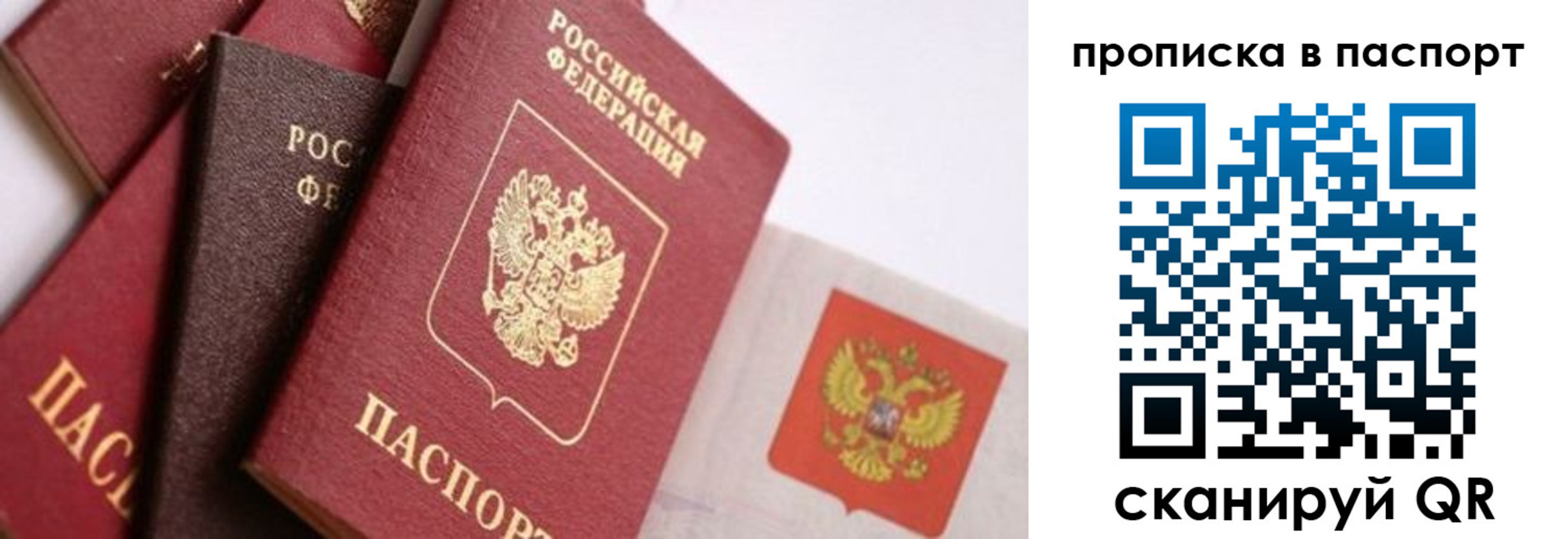 прописка штамп в Амурской области