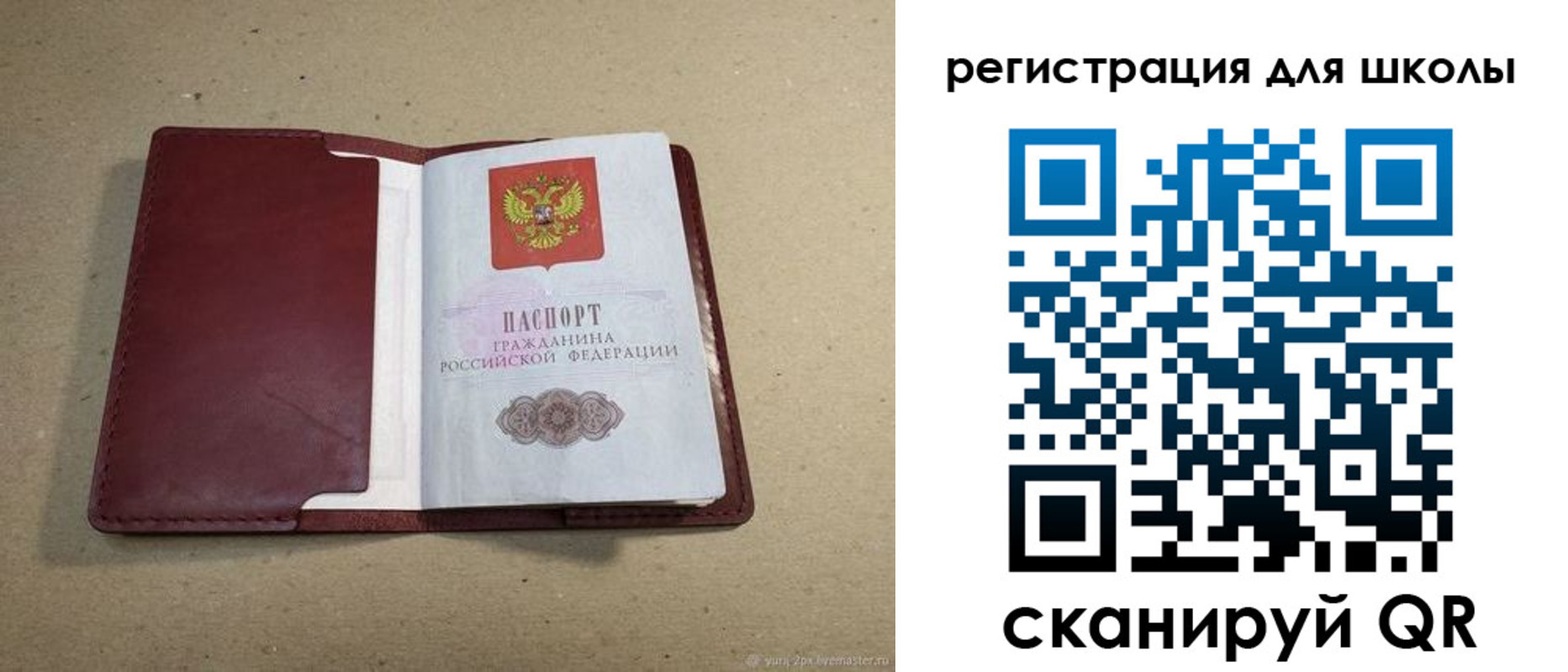 временная регистрация поиск в Амурской области